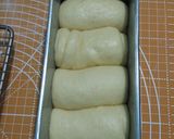 Foto langkah ke 3 dari resep Roti Tawar Tutup.