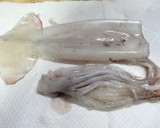 A picture of step 1 of Prepping Squid.