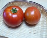 A picture of step 1 of [Farmhouse Recipe] Tomato Sorbet.