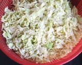 বাঁধা কপির চচ্চড়ি (bandhakopir chorchori recipe in bengali) রেসিপির ধাপ 1 ছবি