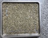 Foto del paso 1 de la receta: Tostar Café en Casa