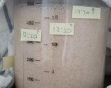 Foto del paso 6 de la receta: Masa madre de espelta integral