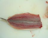 A picture of step 5 of Breaded and Deep Fried Sardines.