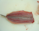 A picture of step 5 of Breaded and Deep Fried Sardines.