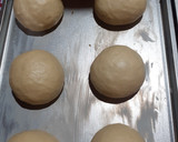Foto del paso 10 de la receta: Tortuconchas y conchas tradicionales
