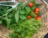 A picture of step 1 of PERFECT Home Grown Tomatoe and Herb Salad Great Side dish or on a sandwich or Well you get the idea!.