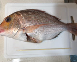Foto del paso 1 de la receta: Pargo al horno