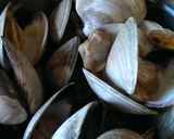 A picture of step 4 of New England Clam Chowder.