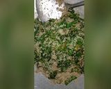 Foto langkah ke 8 dari resep Urap Genjer.