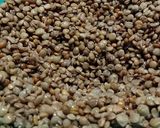 Foto del paso 1 de la receta: Hamburguesas de lentejas a lo gafasok