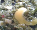 Foto del paso 3 de la receta: Canastitas de zapallitos