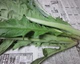 A picture of step 1 of How to Prepare Cardoons.