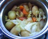 A picture of step 7 of Stewed New Potato, Sweet Onion, and Spring Cabbage.
