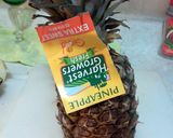 A picture of step 1 of agua de piña.