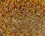 A picture of step 7 of Ganthiya nu Shake.