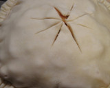 A picture of step 7 of Apple Pie From Scratch.