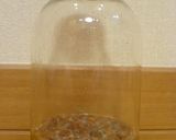 A picture of step 3 of Surprisingly Easy Raisin Yeast.