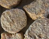 Foto del paso 3 de la receta: MILANESAS DE CALABAZA (sin gluten)