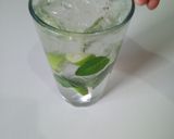 Foto del paso 6 de la receta: Mojito tradicional
