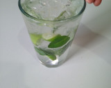 Foto del paso 6 de la receta: Mojito tradicional
