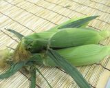 A picture of step 1 of How to Boil Corn on the Cob.