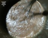 A picture of step 3 of Eggless Chocolate Pudding With a cup of Cappuccino.