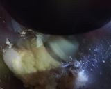 Foto langkah ke 2 dari resep Bakpao.
