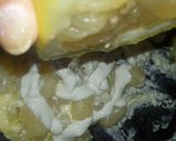Foto del passaggio 1 della ricetta Gnocchetti con crema di limone