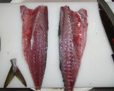 A picture of step 8 of How to fillet a fish (3-layer filleting) - For Mackerel.