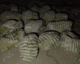 Foto del paso 9 de la receta: Ñoquis de acelga
