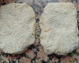 Foto del paso 3 de la receta: Milanesas de soja vegan 🌱