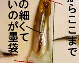 A picture of step 11 of How To Clean Squid - You Can Eat The Legs and Liver, Too!.