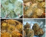 รูปขั้นตอนการทำที่ 2 ของ ไก่กรอบชาเขียว