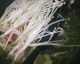 Foto langkah ke 5 dari resep Tumis dori enoki.
