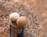 صورة لخطوة 2 من وصفة بسبوسة سهلة