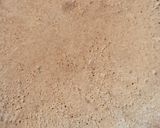 Foto del paso 3 de la receta: Pancito de harina de avena con romero a la sartén 🌱 fácil, nutritivo, sin balanza, sin horno 🌱