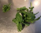 Une image de l'étape 1 de « Tartinade » ail, herbes aromatiques et parmesan.