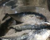 Foto langkah ke 1 dari resep 113. Ikan Rebus Medan.