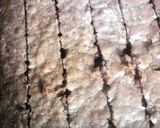A picture of step 10 of Kitty Litter Cake ~ halloween.