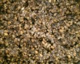 A picture of step 3 of Green Gram Snack (Sukhiyan/Mothakam).