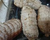 Foto del paso 1 de la receta: Muslos de pollo rellenos de queso y bacon