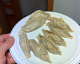 Foto del paso 5 de la receta: Gyozas de carne y verdura