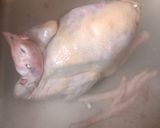 Hình bước làm 1 của món Gà nấu lá giang 🐔🐔