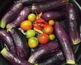 Foto langkah ke 2 dari resep Terong kukus sambal terasi.