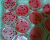 Foto langkah ke 5 dari resep Mutisu (mutiara susu).