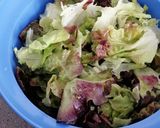 Foto del paso 1 de la receta: Crema fría de lechuga hoja de roble y pepino