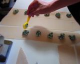A picture of step 6 of Ricotta Cheese and Spinach Ravioli.