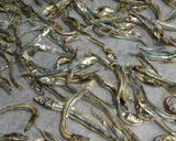 A picture of step 1 of Candied Sardines for New Year's.