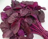 A picture of step 1 of Laal Saag { Red Amarnath Leaves }.