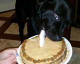 A picture of step 8 of Doggie Birthday Cake.